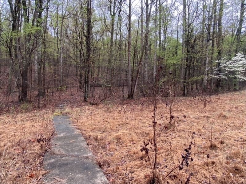Walkway to the Mystery Cemetery image. Click for full size.