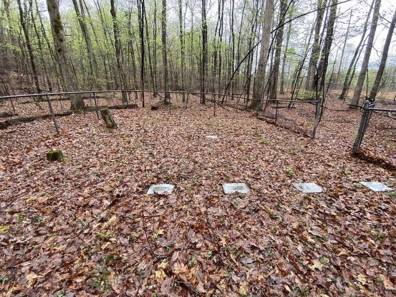 The Mystery Cemetery image. Click for full size.