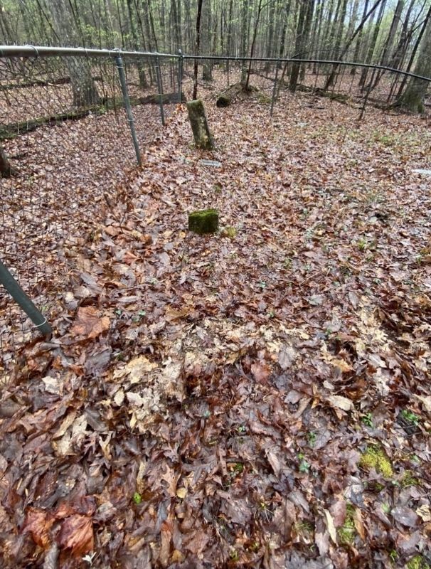 Grave in Mystery Cemetery image. Click for full size.