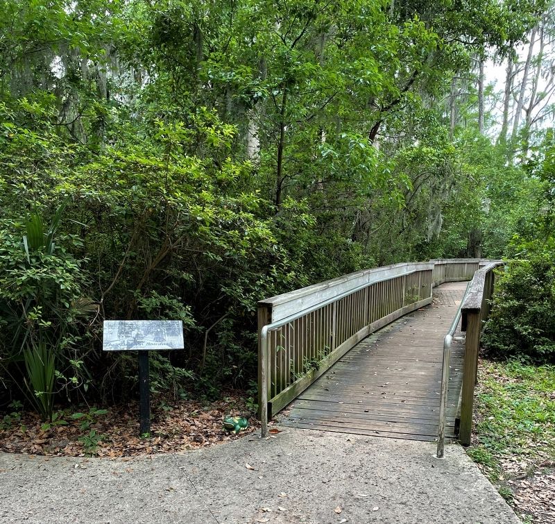 The Mandarin Boardwalk Marker image. Click for full size.