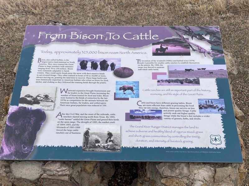From Bison to Cattle Marker image. Click for full size.