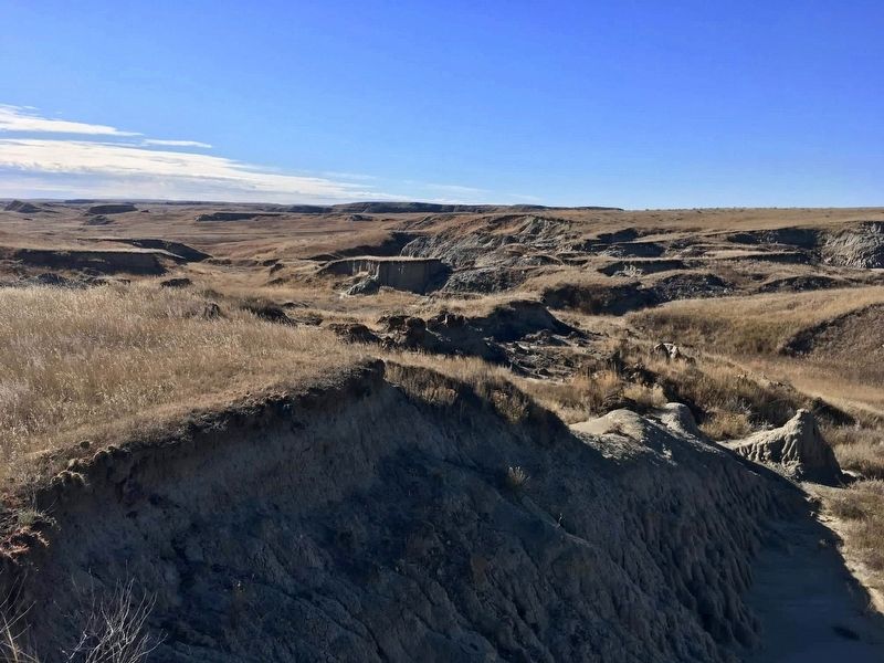 Grand River National Grassland image. Click for full size.