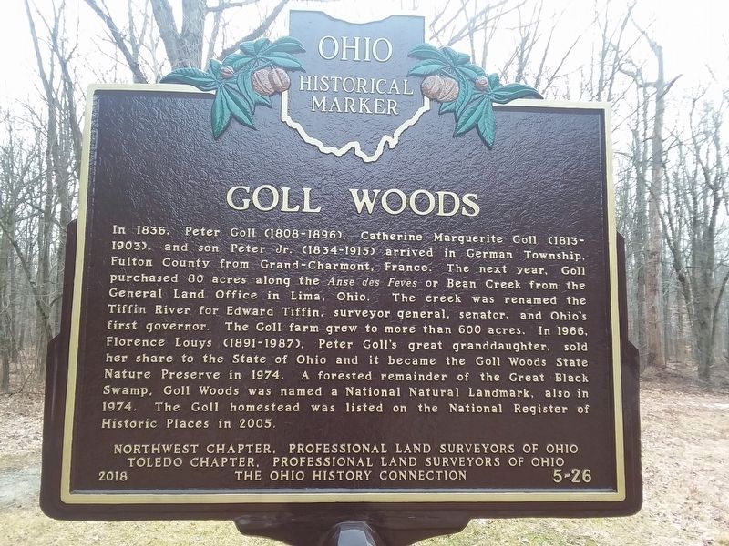Goll Woods Marker image. Click for full size.