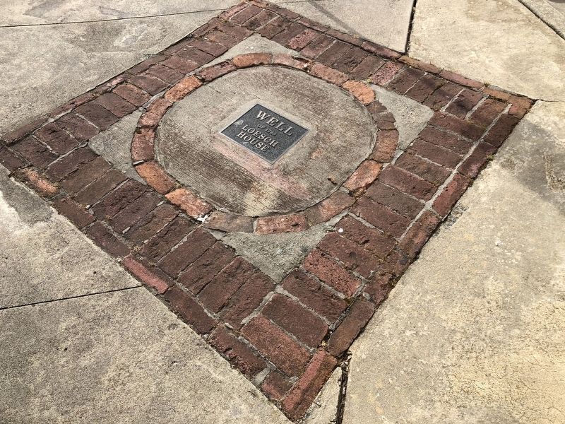 Well of 1789 Loesch House image. Click for full size.