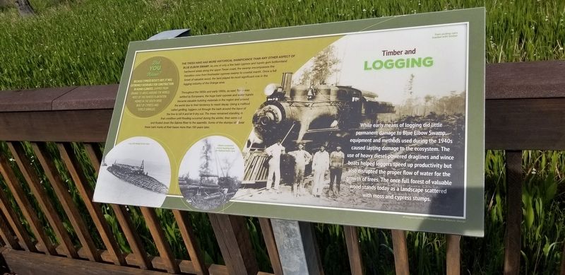 Timber and Logging Marker image. Click for full size.