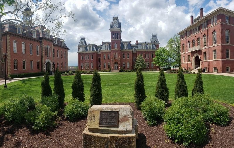 Woodburn Circle image. Click for full size.