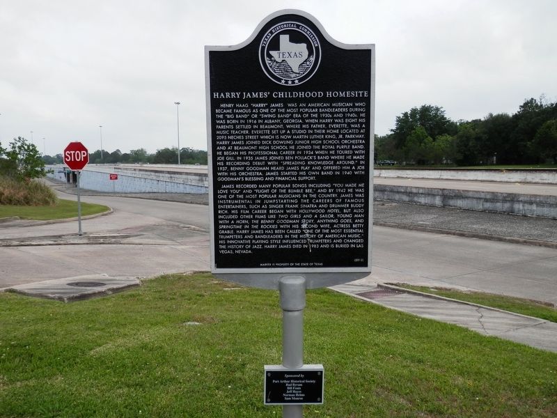Harry James' Childhood Homesite Marker image. Click for full size.