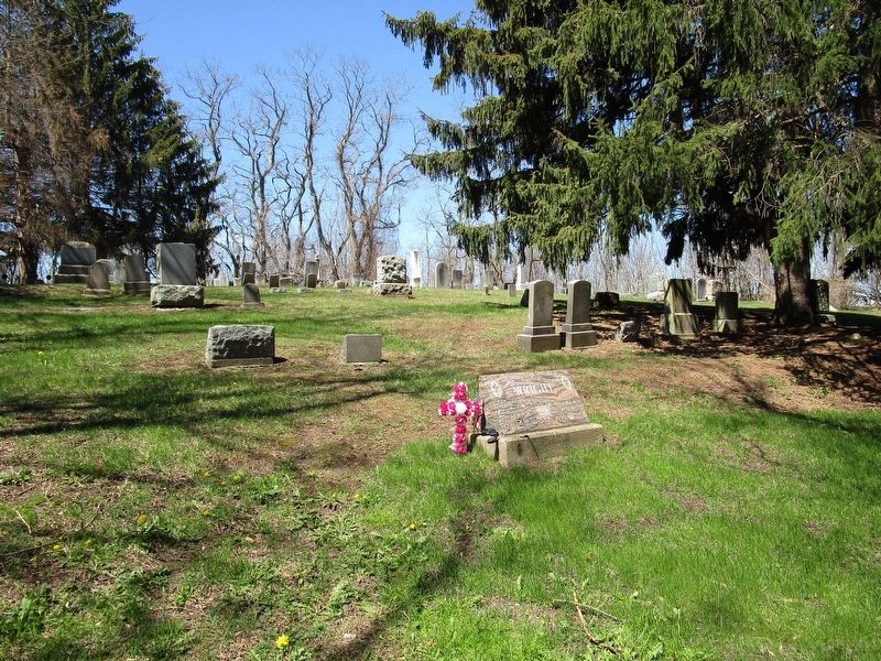 Freewill Cemetery image. Click for full size.