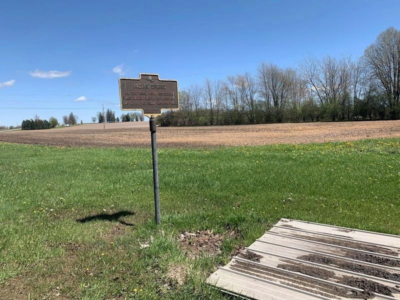 Indian Spring Marker image. Click for full size.