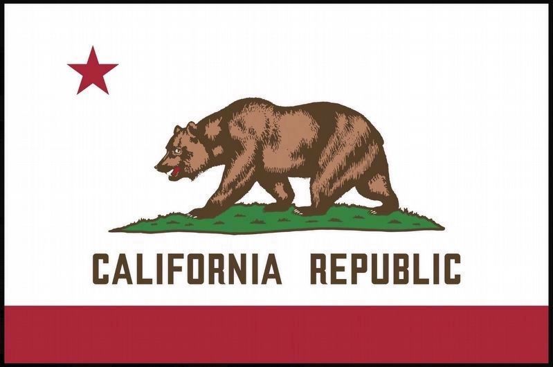 Todays California State Flag image. Click for full size.