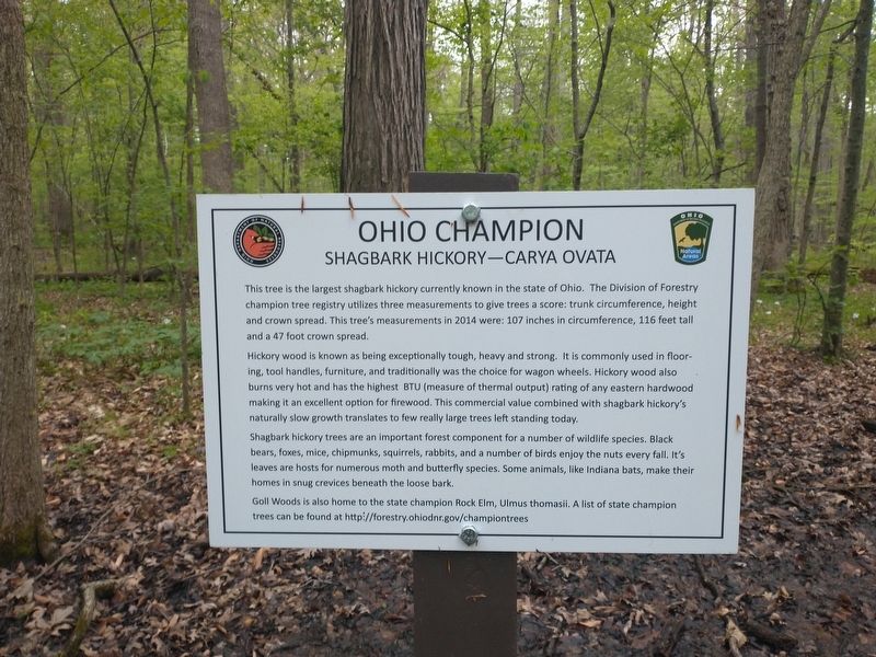 Ohio Champion Marker image. Click for full size.