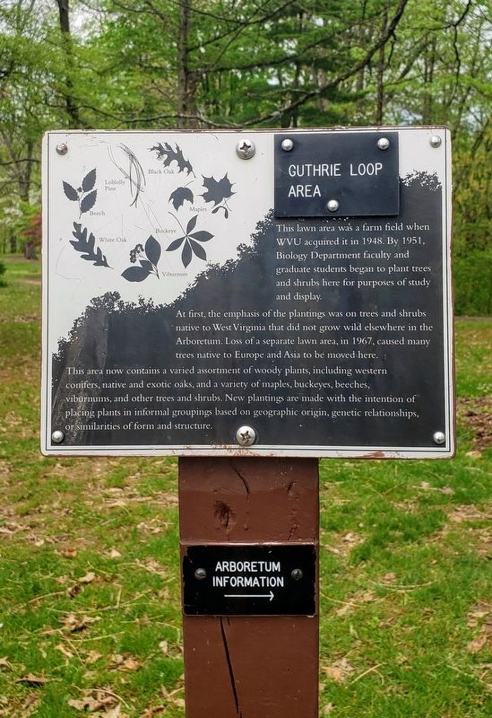 Guthrie Loop Area Marker image. Click for full size.