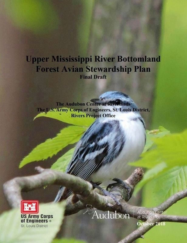 Upper Mississippi River Bottomland Forest Avian Stewardship Plan (2018) image. Click for more information.