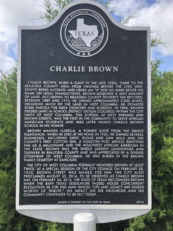 Charlie Brown Marker image. Click for full size.