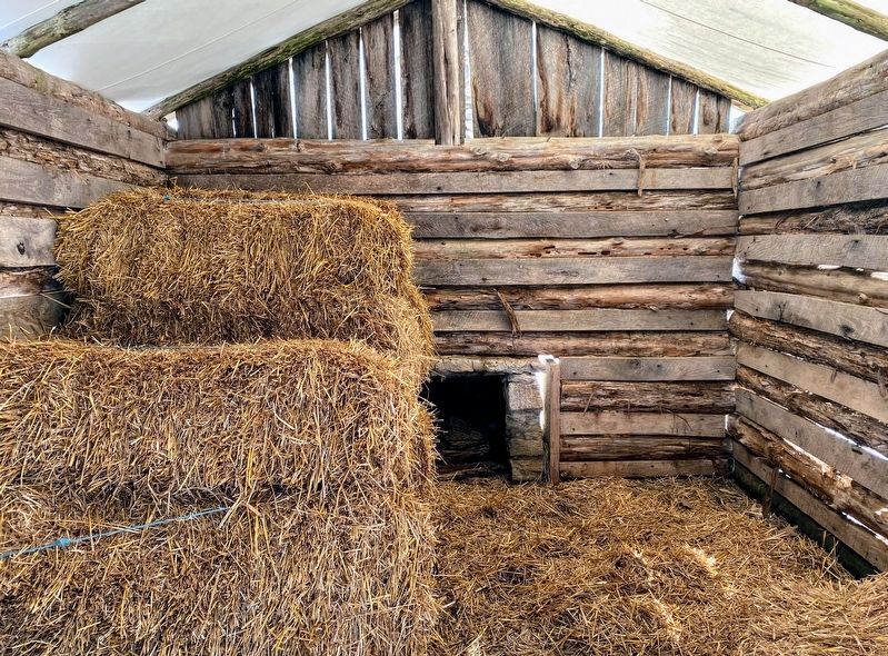 Inside the Confederate Log Hut at Fort Donelson image. Click for full size.