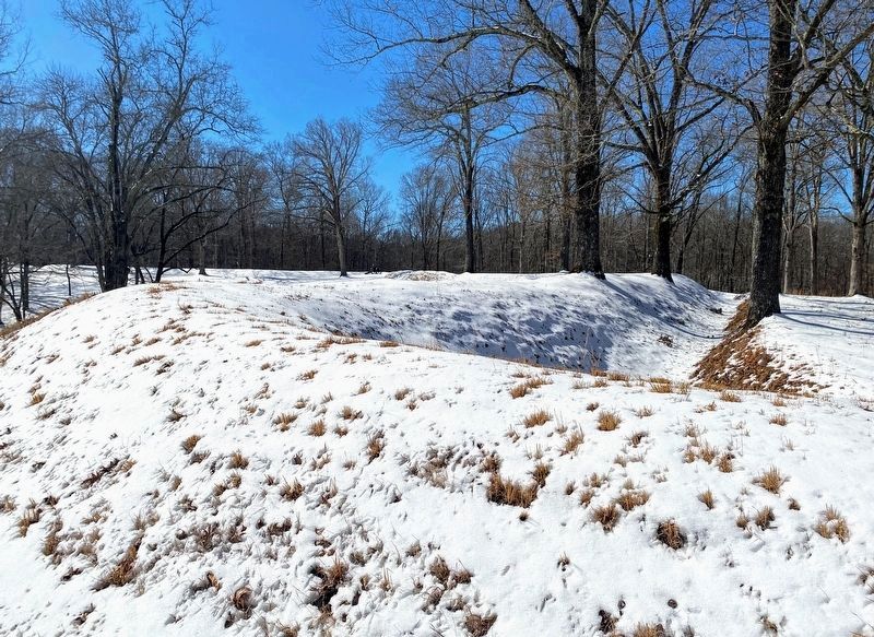 Fort Donelson Earthworks image. Click for full size.
