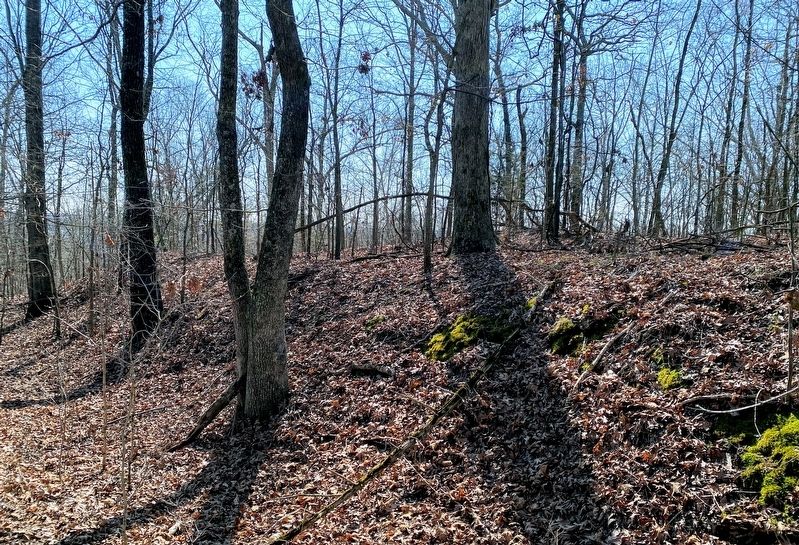 Remains of the Federal Fort Outer Wall. image. Click for full size.