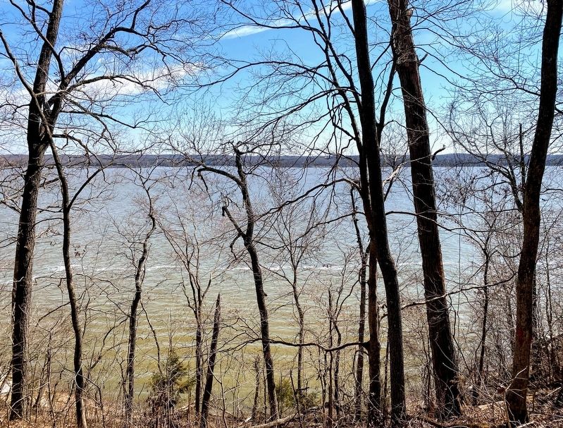 View of the Tennessee River from the marker. image. Click for full size.