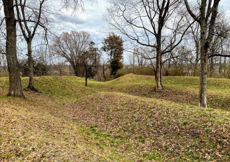 Earthworks Inside Fort Defiance image. Click for full size.