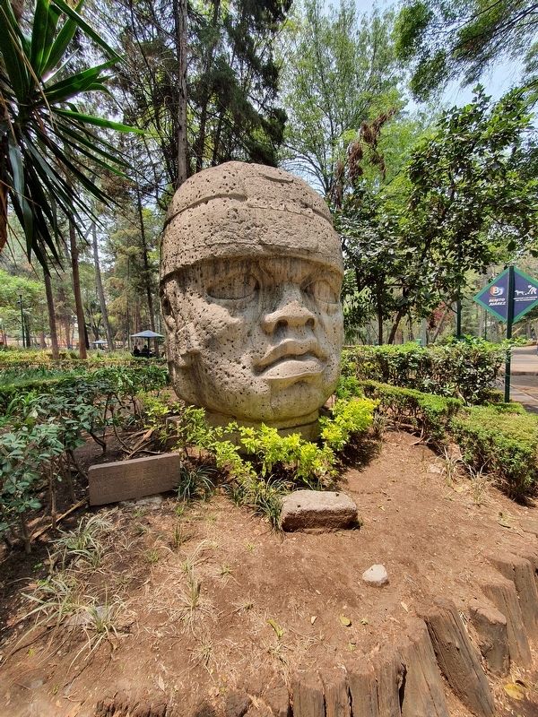 Nearby replica of San Lorenzo Colossal Head 1 image. Click for full size.