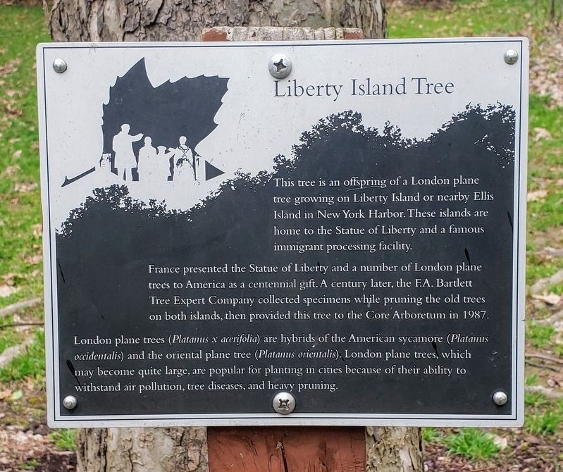 Liberty Island Tree Marker image. Click for full size.