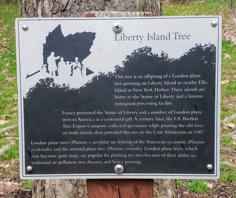 Liberty Island Tree Marker. Click for full size. Liberty Island Tree Marker image. Click for full size.