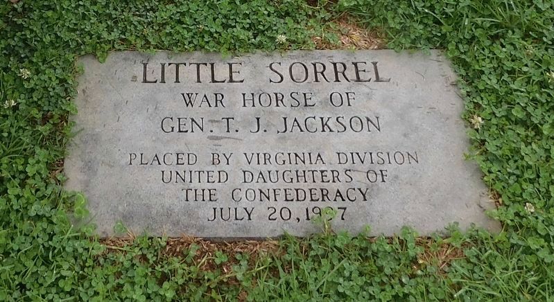 Little Sorrel Marker image. Click for full size.