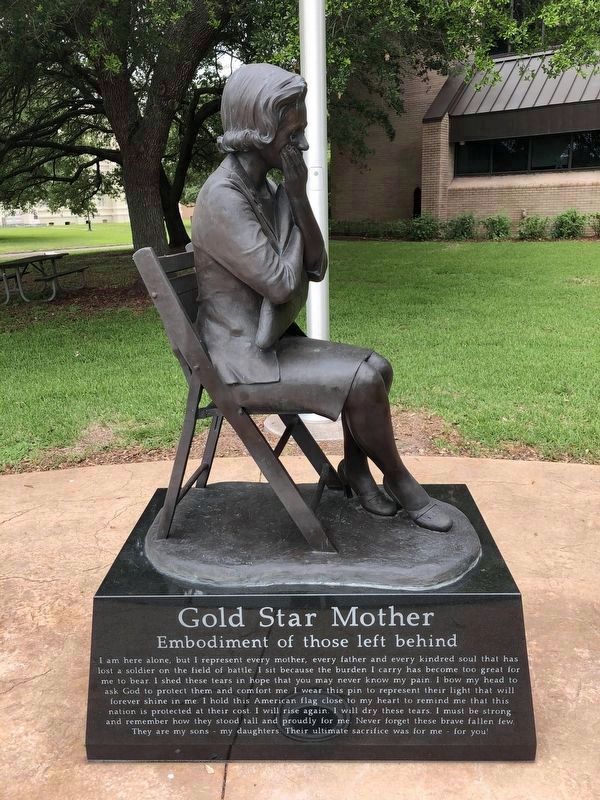 Gold Star Mother<br>Embodiment of those left behind image. Click for full size.