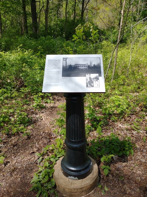 Ballroom / Riding Area Marker. Click for full size. Ballroom / Riding Area Marker image. Click for full size.