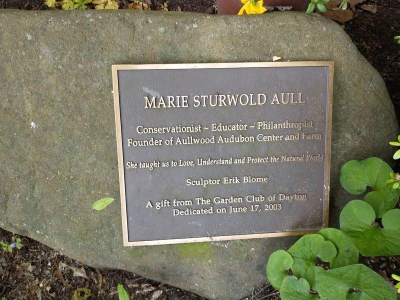 Marie STurwold Aull Marker. Click for full size. Marie STurwold Aull Marker image. Click for full size.