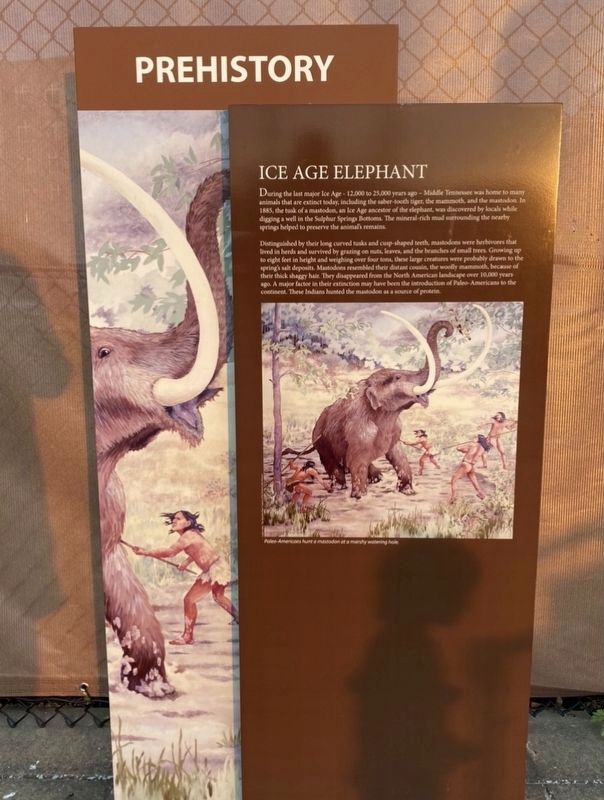 Ice Age Elephant Marker image. Click for full size.
