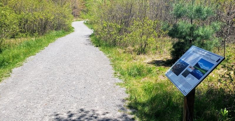 The Tibbs Run Reservoir: Then a Water Source, Now a Local Treasure Marker. Click for full size. The Tibbs Run Reservoir: Then a Water Source, Now a Local Treasure Marker image. Click for full size.