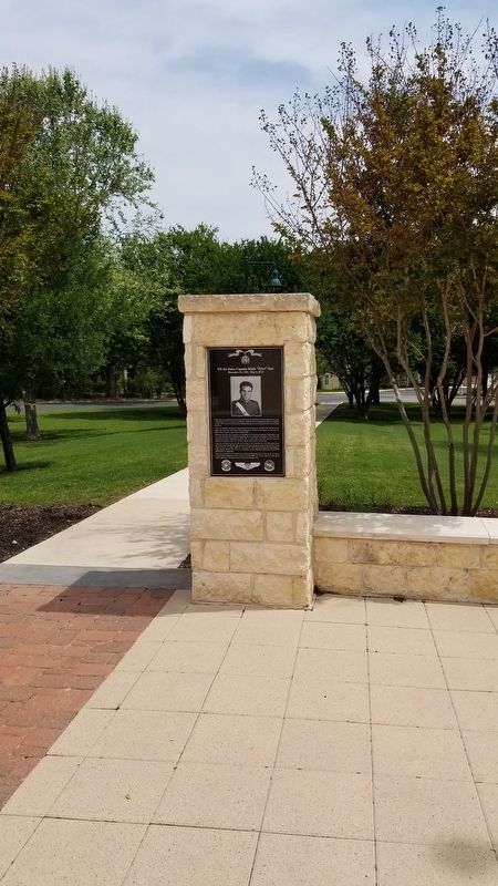 US Air Force Captain Mark "Tyler" Voss Marker. Click for full size. US Air Force Captain Mark "Tyler" Voss Marker image. Click for full size.