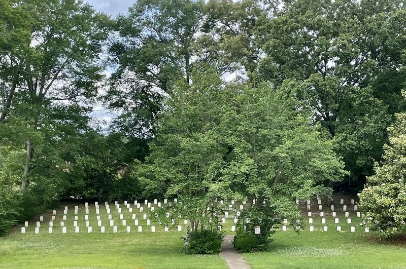 Confederate Cemetery grave markers. Click for full size. Confederate Cemetery grave markers image. Click for full size.