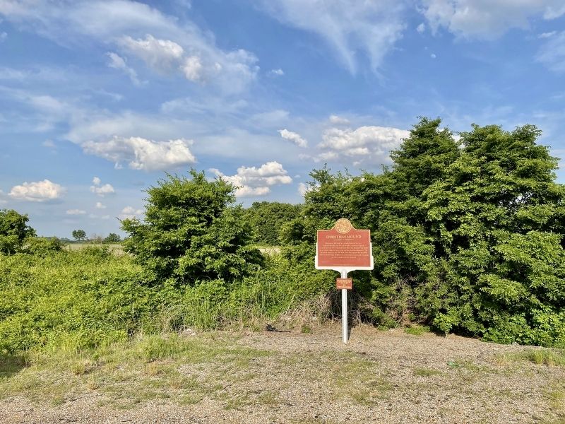 Christmas Mound Marker image. Click for full size.