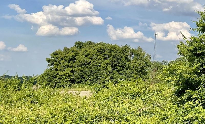 View of the tree covered mound area in background. image. Click for full size.