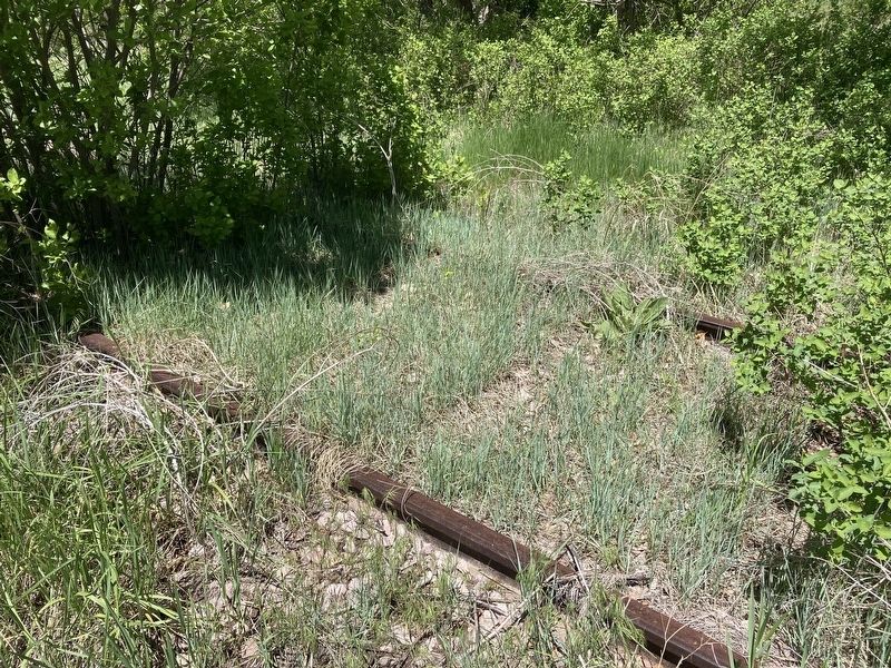 Overgrown rail near the marker image. Click for full size.