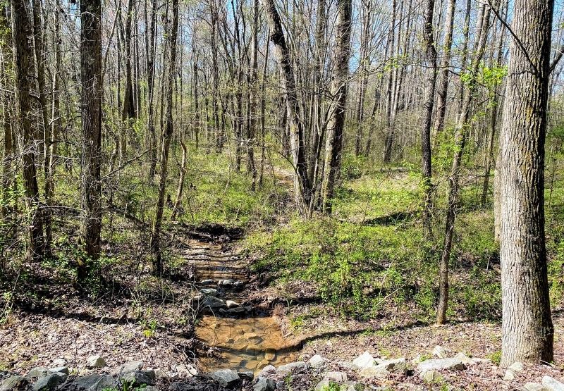 Ravine along the Battlefield Trail near the marker. image. Click for full size.