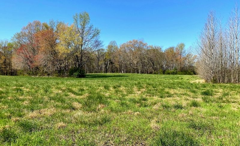 View of the battlefield from the marker image. Click for full size.