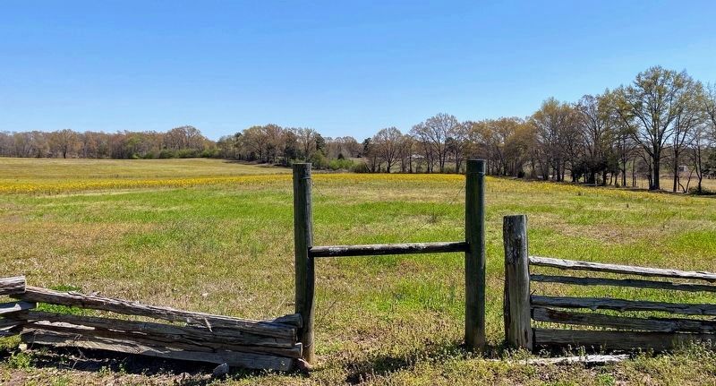 View of Hicks Field near the marker. Click for full size. View of Hicks Field near the marker image. Click for full size.