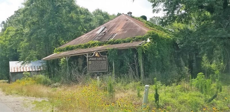 Birthplace of Buddy Guy Lettsworth, Louisiana 70752 Marker image. Click for full size.