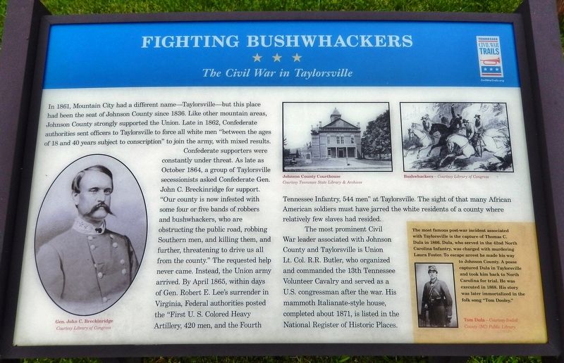 Fighting Bushwhackers Marker image. Click for full size.