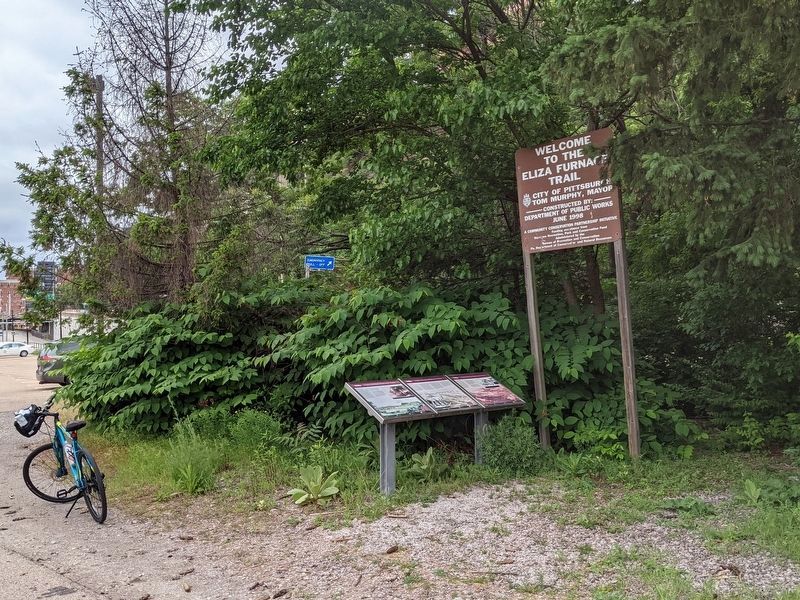 Three Rivers Heritage Trail/Great Allegheny Passage image. Click for full size.