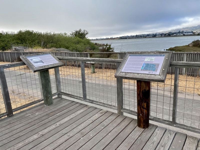 Albany Waterfront History (Pre-1900) Marker - wide view image. Click for full size.