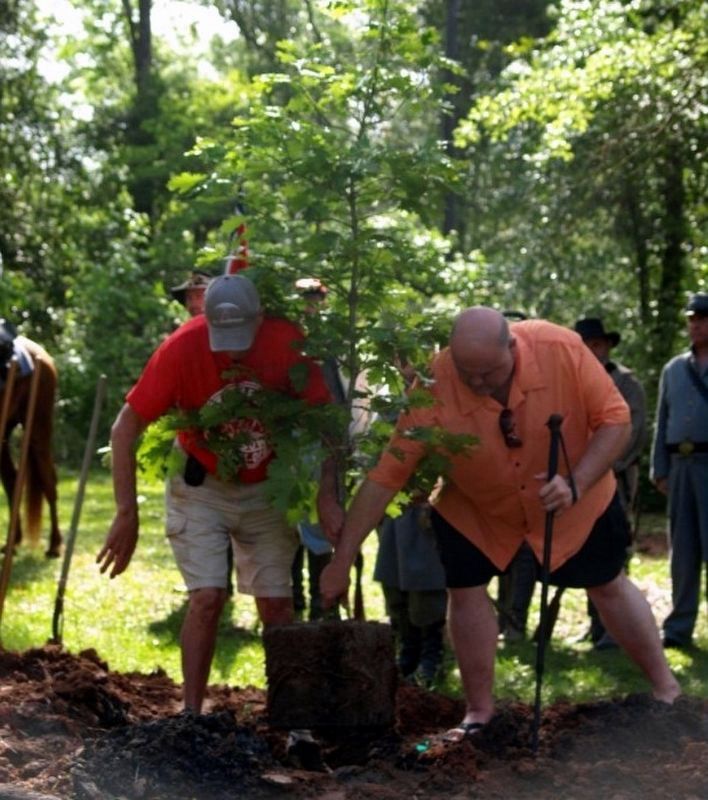 2012 Surrender Oak Festival: Tree Planting Ceremony image. Click for more information.
