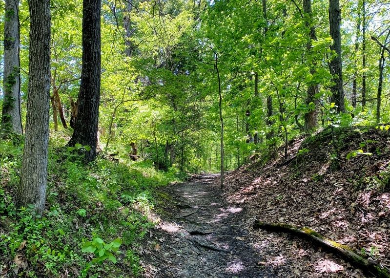 Original Route of the Trail of Tears. Click for full size. Original Route of the Trail of Tears image. Click for full size.