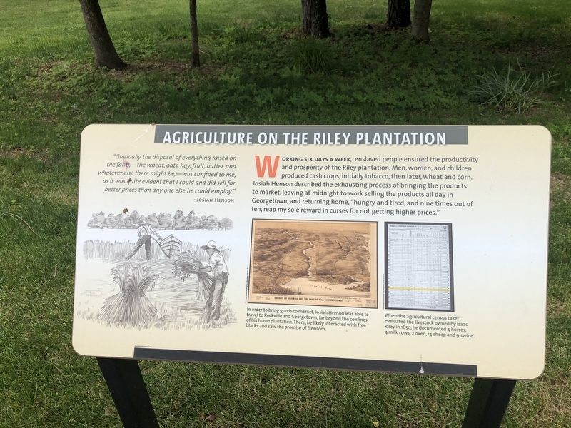 Agriculture on the Riley Plantation Marker image. Click for full size.