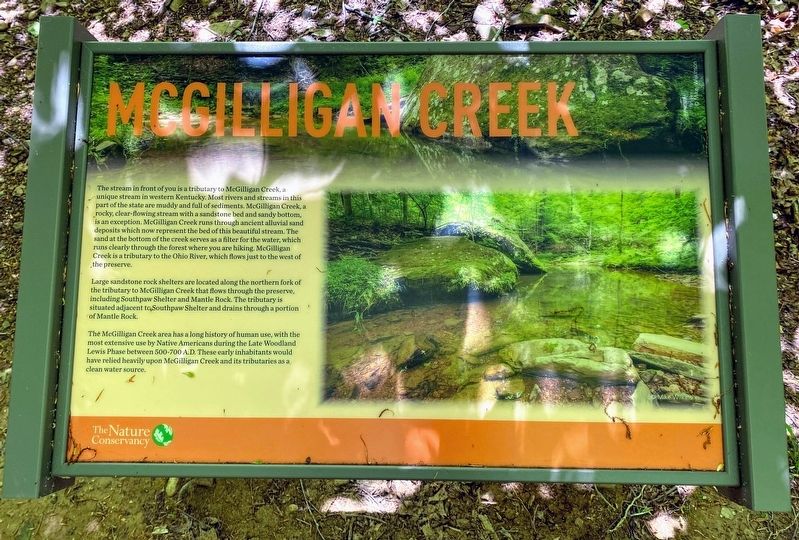 McGilligan Creek Marker image. Click for full size.