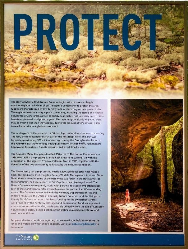 Protect Marker Panel image. Click for full size.