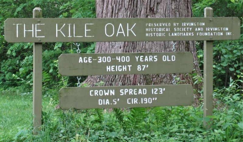 Kile Oak Marker image. Click for full size.